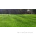 ISO Quality Artificial turf Grass